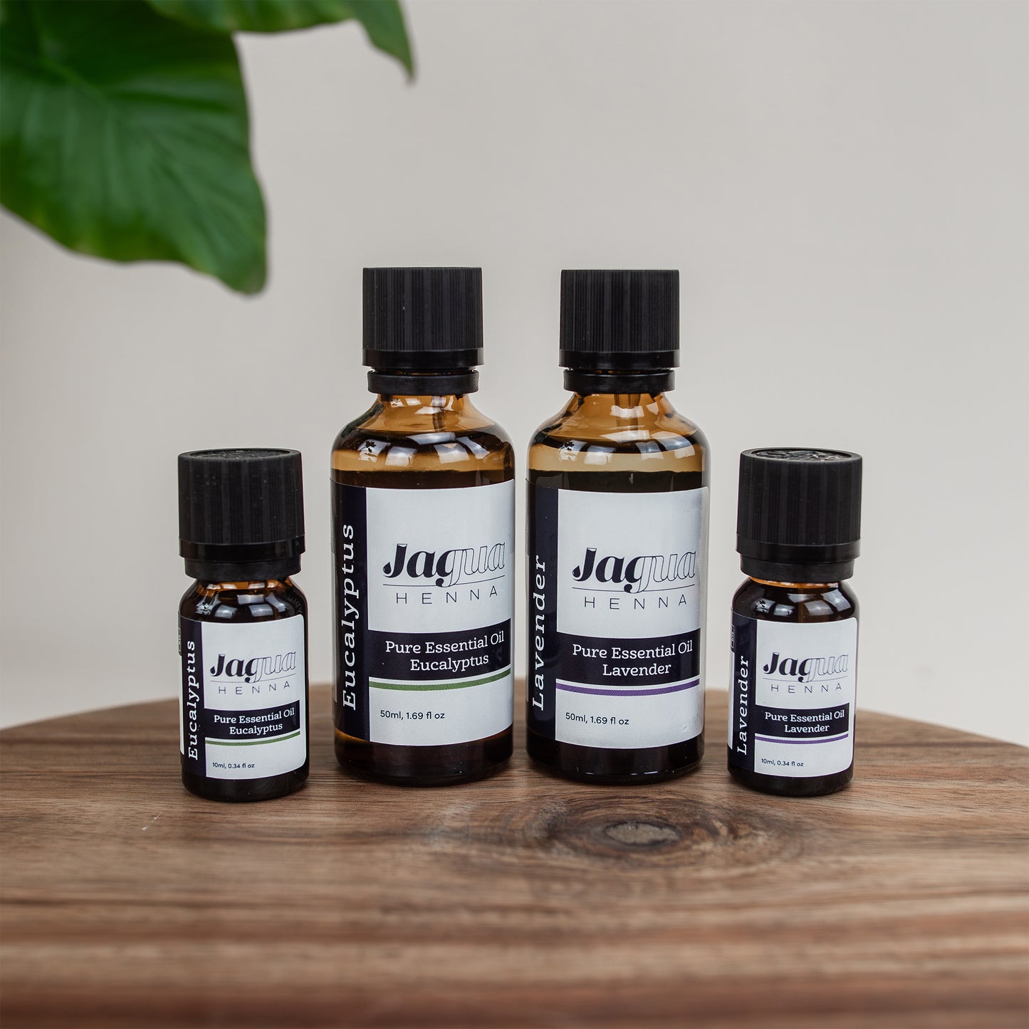 Lavender Essential Oil 10 ml