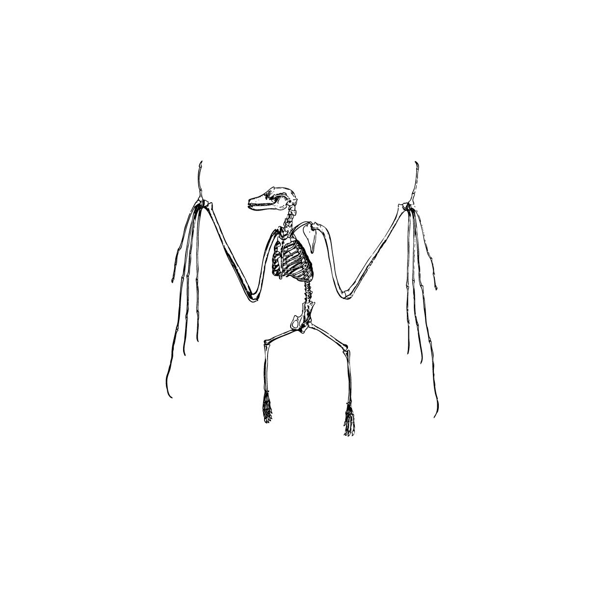 Skeleton dance temporary tattoo