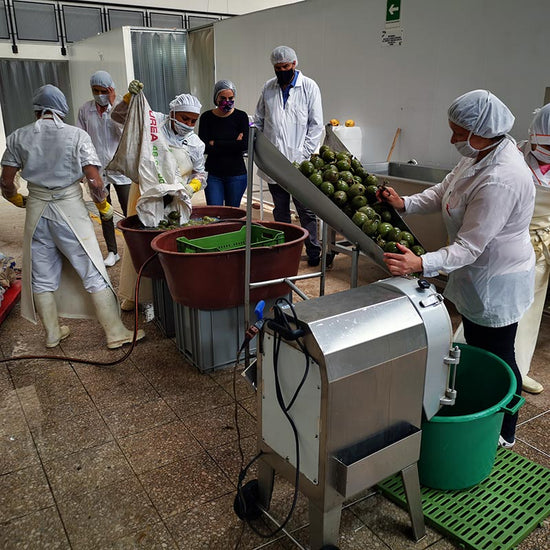 The Jagua fruit processing plant