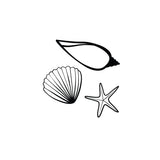 Muscheln