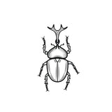 Dung-bettle temporary tattoo