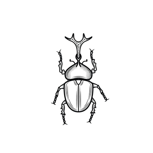 Dung-bettle temporary tattoo