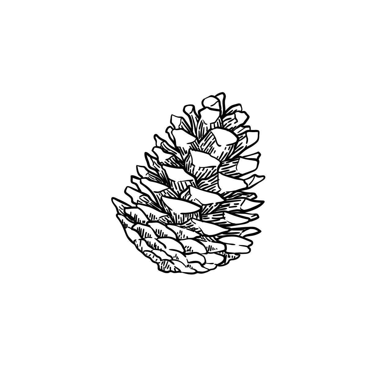 Pine cone temporary tattoo