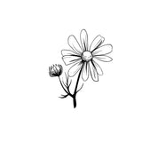Rieche die Rose