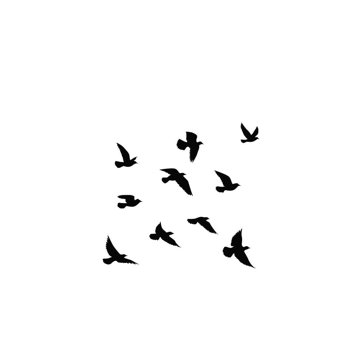 Vogelschwarm